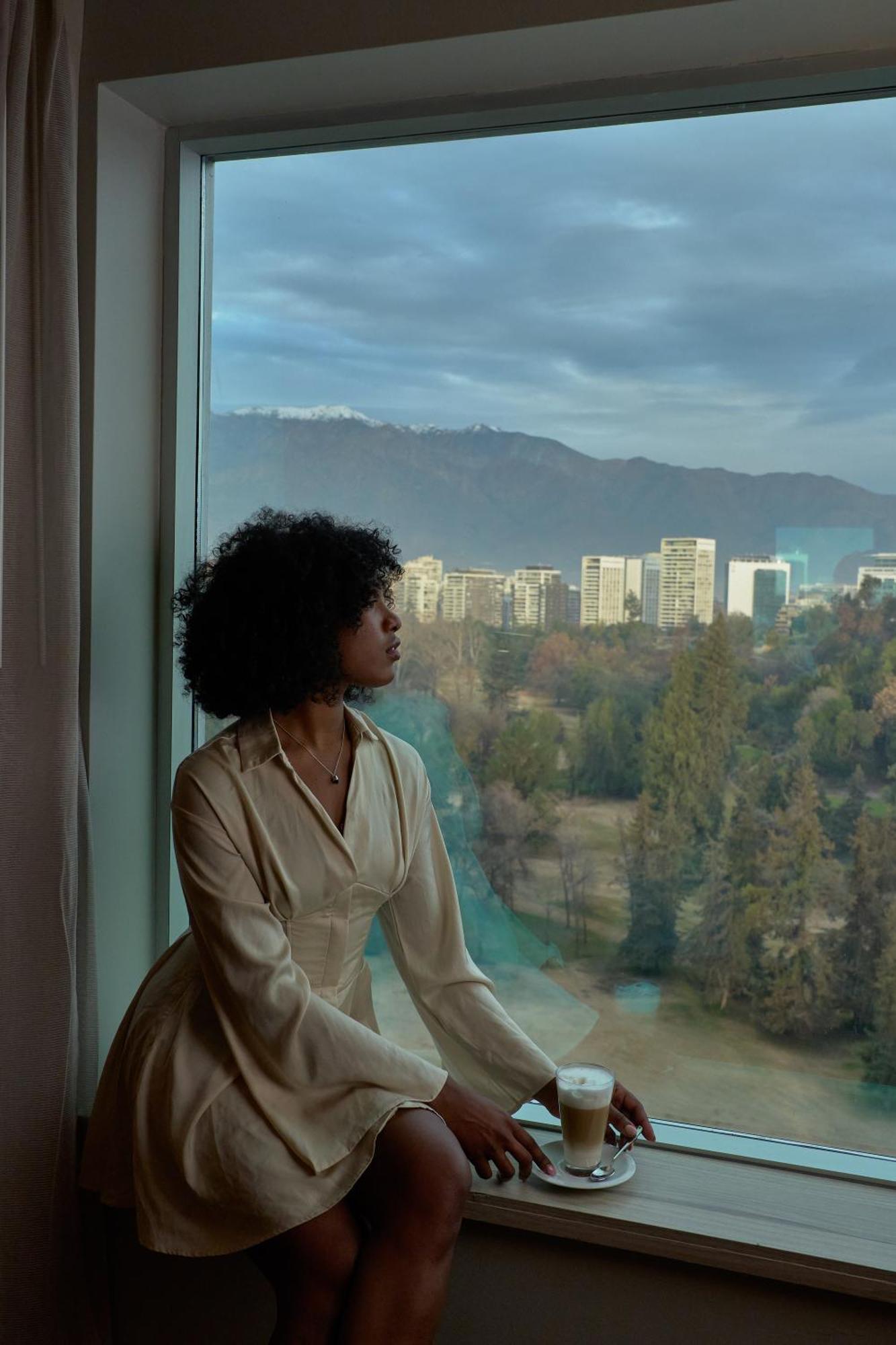 Pullman Santiago Vitacura エクステリア 写真 A woman with natural hair